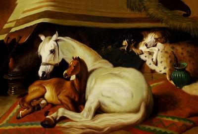 unknow artist Horses 036 oil painting picture